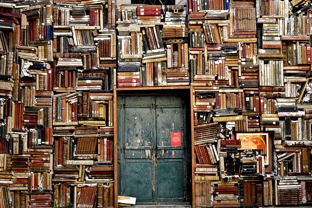 Large collection of books image source =https://pixabay.com/en/books-door-entrance-italy-colors-1655783/