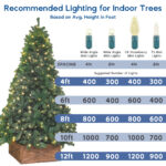 Infographic showcasing different types of bulbs and number of bulbs depending on tree length - photoshop