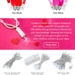 Valentines Day Lighting Email Campaign 2024